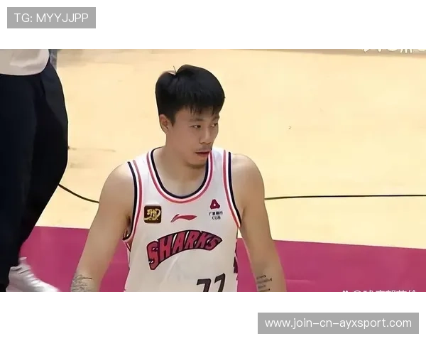 辽宁反击能量十足,张镇麟飞身补扣震撼全场 辽宁反击能量十足,张镇麟飞身补扣震撼全场